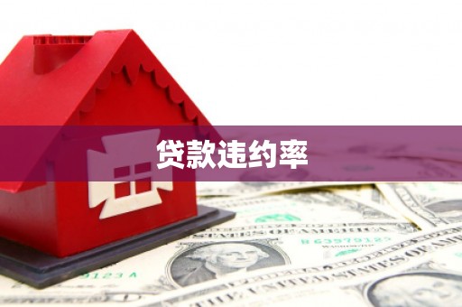 广安贷款违约率