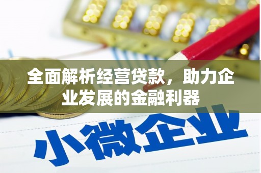 广安全面解析经营贷款，助力企业发展的金融利器