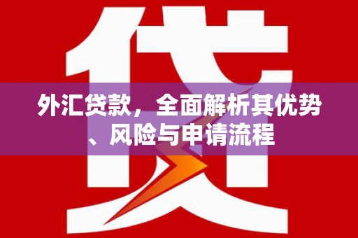 广安外汇贷款，全面解析其优势、风险与申请流程