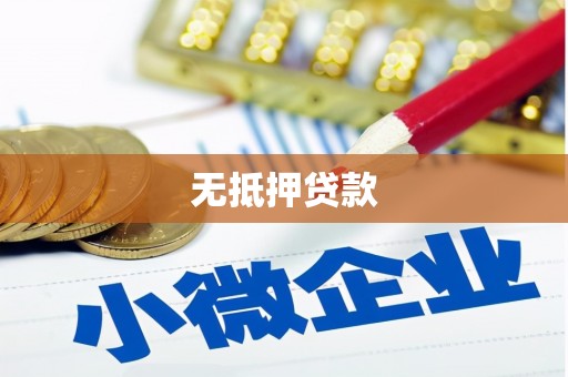 广安无抵押贷款