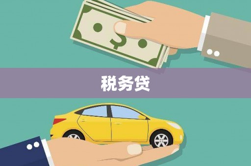 广安税务贷
