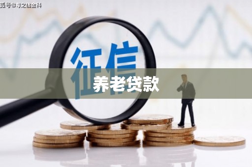 广安养老贷款