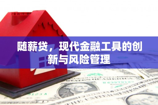 广安随薪贷，现代金融工具的创新与风险管理