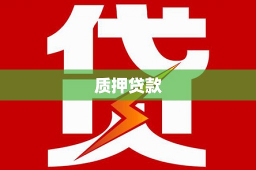 广安质押贷款