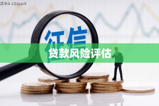 广安贷款风险评估