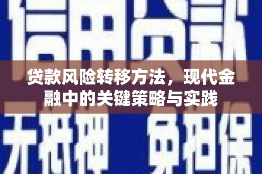 广安贷款风险转移方法，现代金融中的关键策略与实践