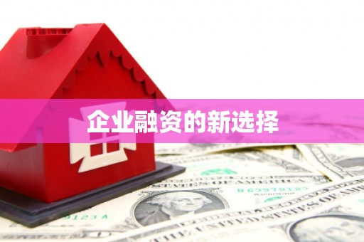 广安企业融资的新选择