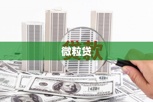 广安微粒贷