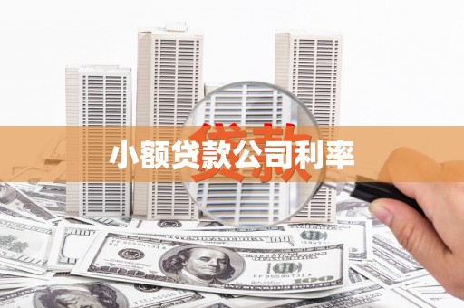 广安小额贷款公司利率