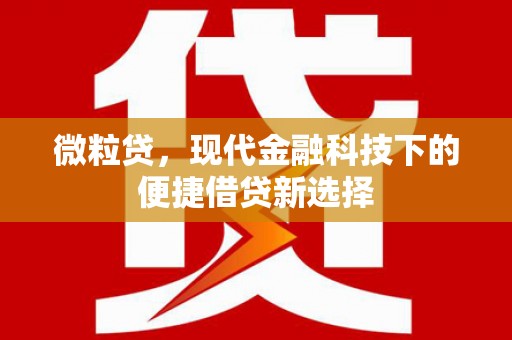 广安微粒贷，现代金融科技下的便捷借贷新选择