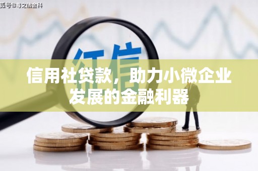 广安信用社贷款，助力小微企业发展的金融利器