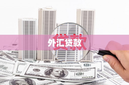 广安外汇贷款