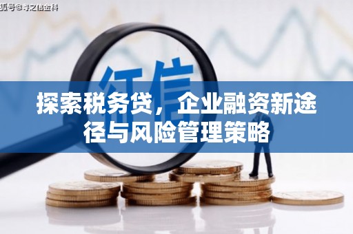 广安探索税务贷，企业融资新途径与风险管理策略