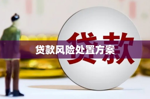 广安贷款风险处置方案