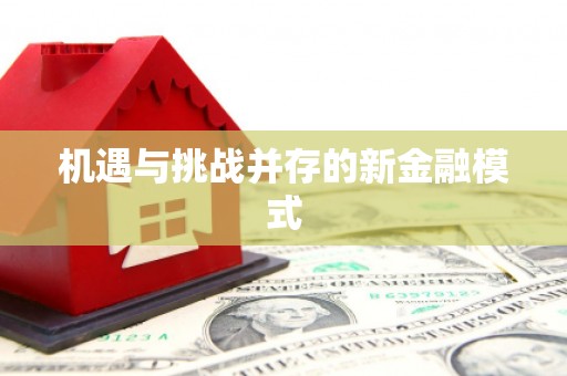 广安机遇与挑战并存的新金融模式
