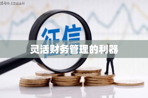 广安灵活财务管理的利器