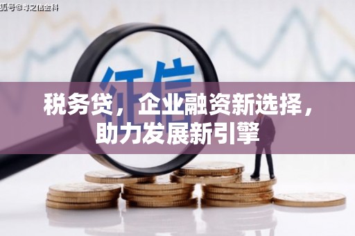 广安税务贷，企业融资新选择，助力发展新引擎