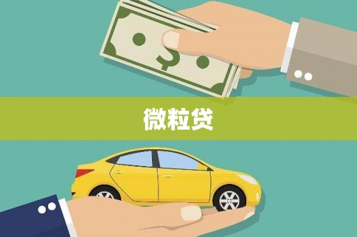 广安微粒贷