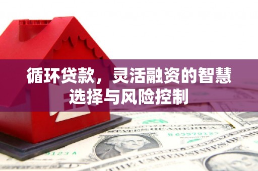 广安循环贷款，灵活融资的智慧选择与风险控制