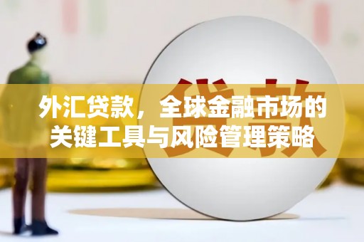 广安外汇贷款，全球金融市场的关键工具与风险管理策略