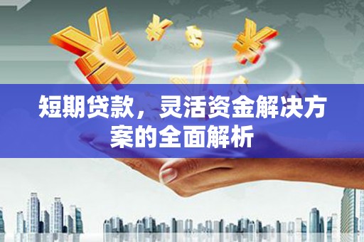 广安短期贷款，灵活资金解决方案的全面解析
