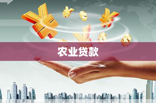 广安农业贷款