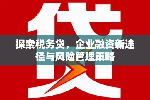 广安探索税务贷，企业融资新途径与风险管理策略