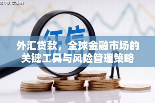 广安外汇贷款，全球金融市场的关键工具与风险管理策略