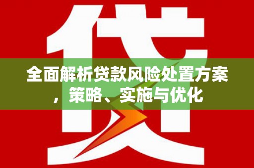 广安全面解析贷款风险处置方案，策略、实施与优化