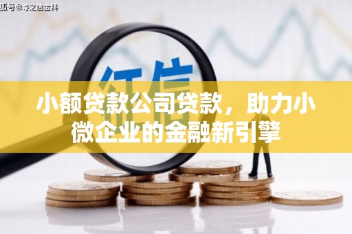 广安小额贷款公司贷款，助力小微企业的金融新引擎