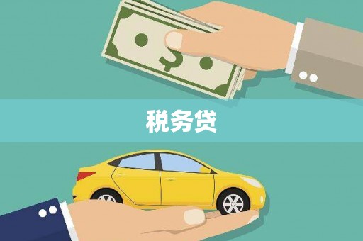 广安税务贷