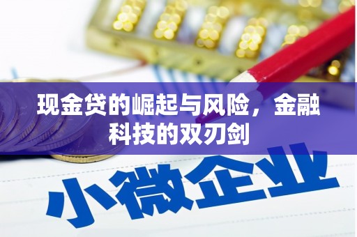 广安现金贷的崛起与风险，金融科技的双刃剑