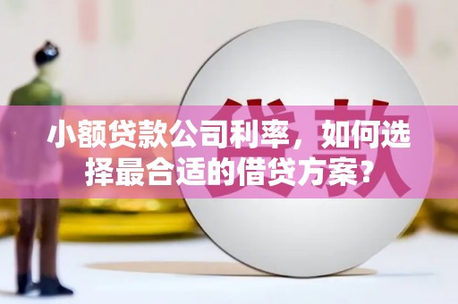 广安小额贷款公司利率，如何选择最合适的借贷方案？