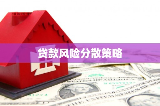 广安贷款风险分散策略