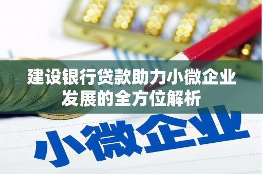 广安建设银行贷款助力小微企业发展的全方位解析