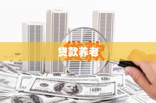 广安贷款养老