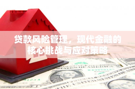 广安贷款风险管理，现代金融的核心挑战与应对策略
