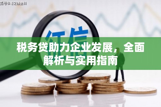 广安税务贷助力企业发展，全面解析与实用指南
