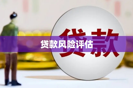广安贷款风险评估