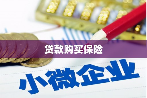 广安贷款购买保险