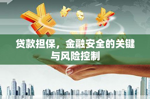 广安贷款担保，金融安全的关键与风险控制