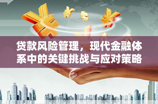 广安贷款风险管理，现代金融体系中的关键挑战与应对策略