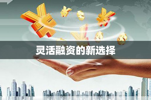 广安灵活融资的新选择